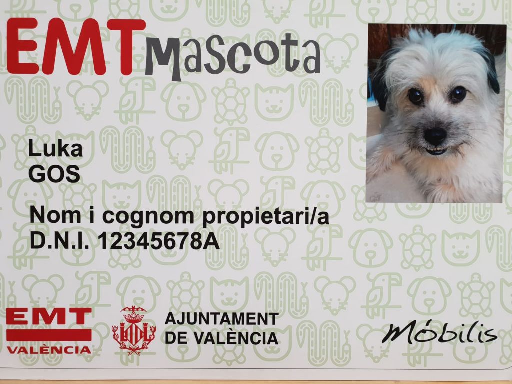  Los mascotas podrán acceder a los autobuses municipales