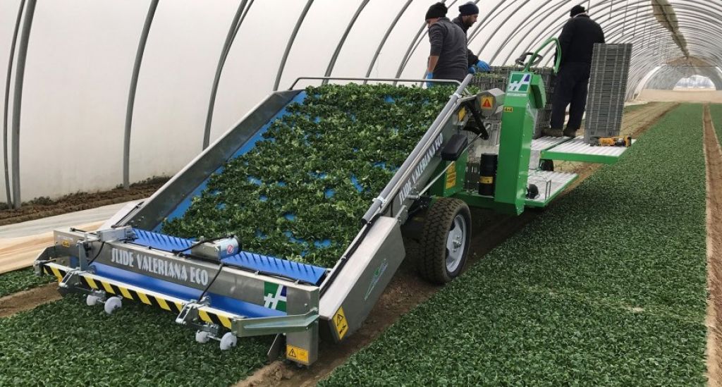  La demanda del consumo de fruta y verdura influirá en el comercio de alimentación, según Fruit Logistica