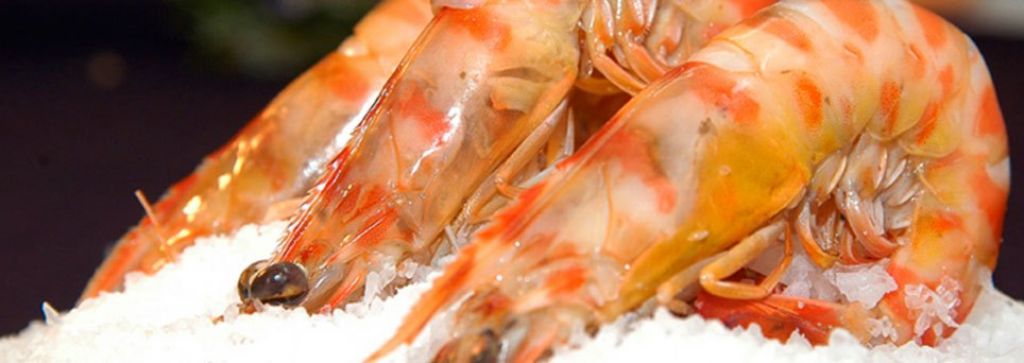  Jornadas de Cocina del Rancho Marinero y Experiencia de Pescaturismo en Vinaroz