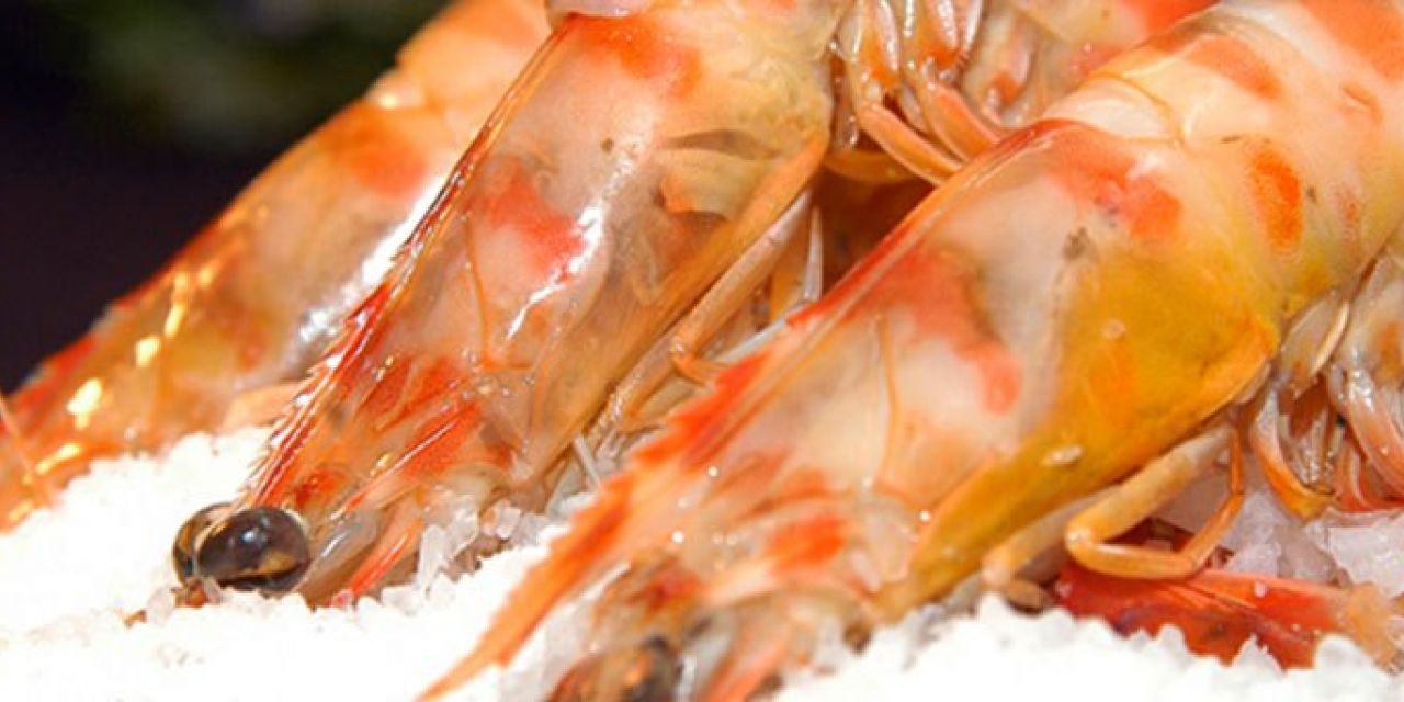  Jornadas de Cocina del Rancho Marinero y Experiencia de Pescaturismo en Vinaroz
