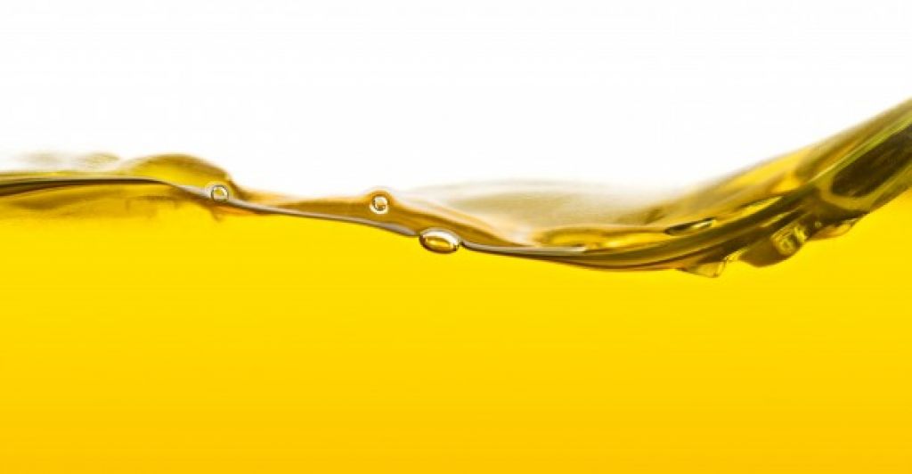  15 Premio Internacional de Cocina “Jaén, Paraíso Interior” con aceite de oliva virgen extra