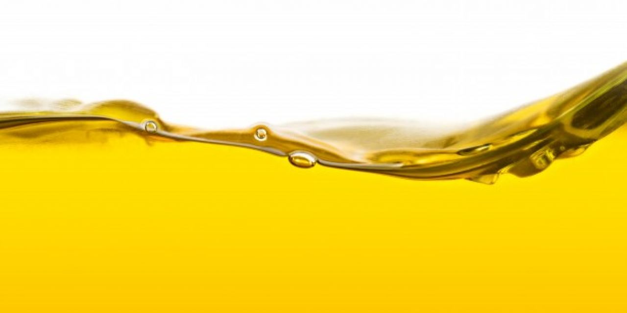  15 Premio Internacional de Cocina “Jaén, Paraíso Interior” con aceite de oliva virgen extra