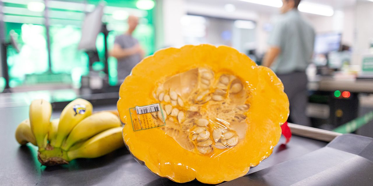 MERCADONA PREVÉ COMPRAR 400 TONELADAS DE CALABAZA DE ASAR CULTIVADA EN VALENCIA