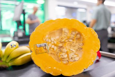 MERCADONA PREVÉ COMPRAR 400 TONELADAS DE CALABAZA DE ASAR CULTIVADA EN VALENCIA