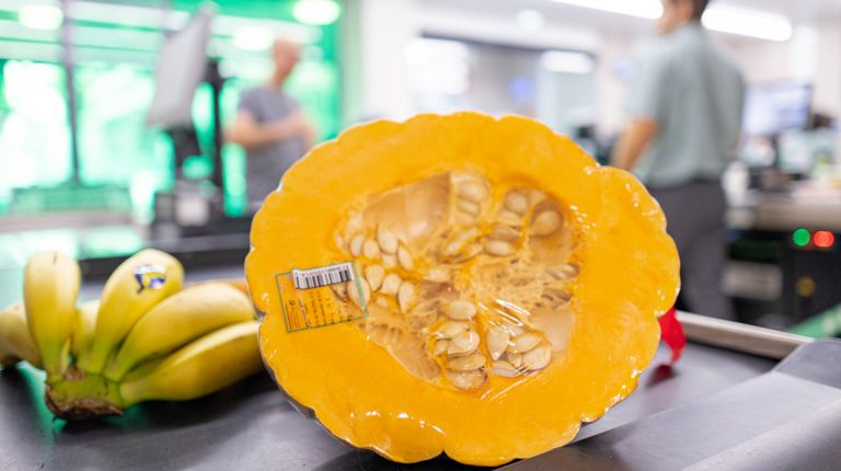 MERCADONA PREVÉ COMPRAR 400 TONELADAS DE CALABAZA DE ASAR CULTIVADA EN VALENCIA