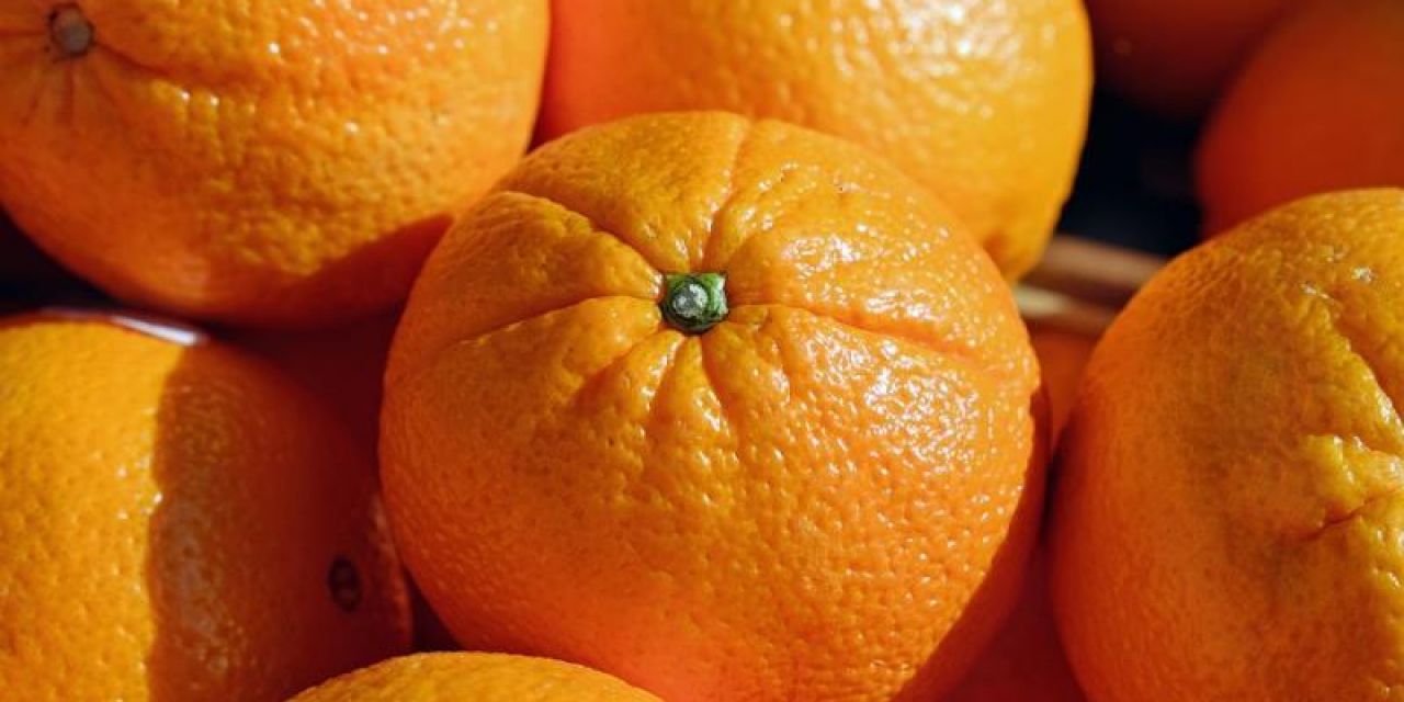  VI Concurso Gastronómico de la Naranja de Sagunto