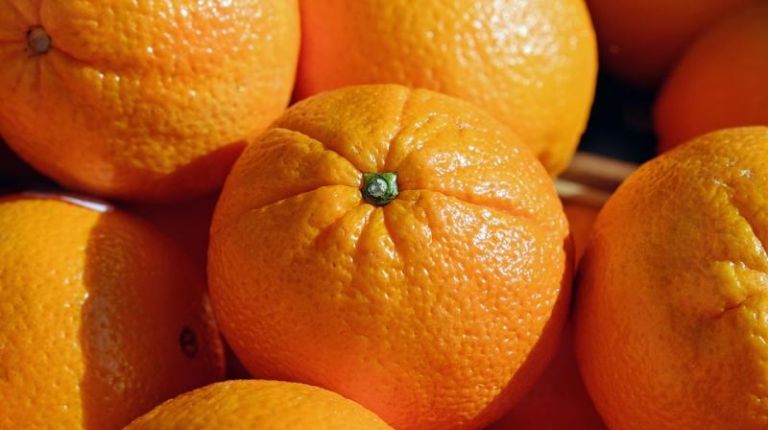 VI Concurso Gastronómico de la Naranja de Sagunto