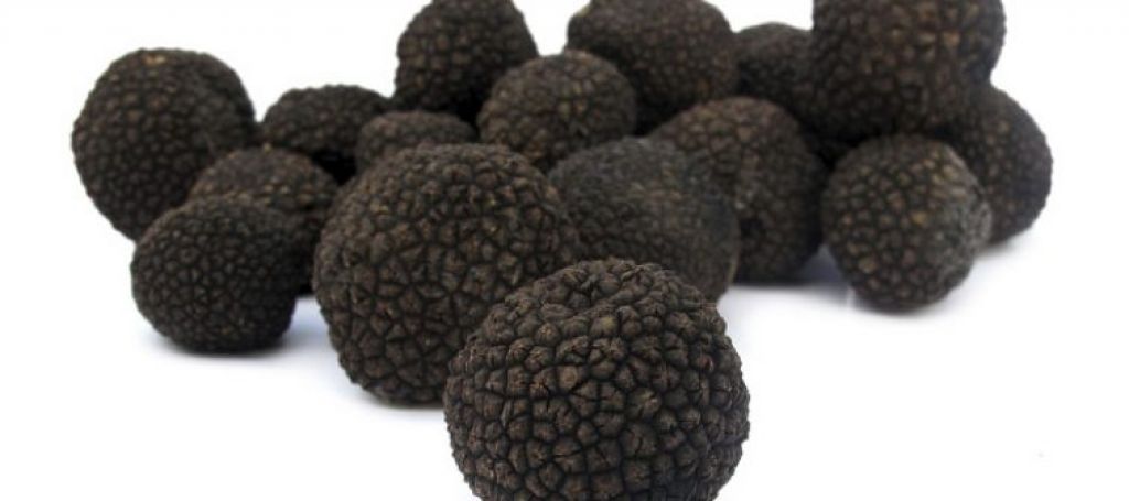 La Feria Valenciana de la Trufa, Fivatruf llega a Andilla el 26 y 27 de enero