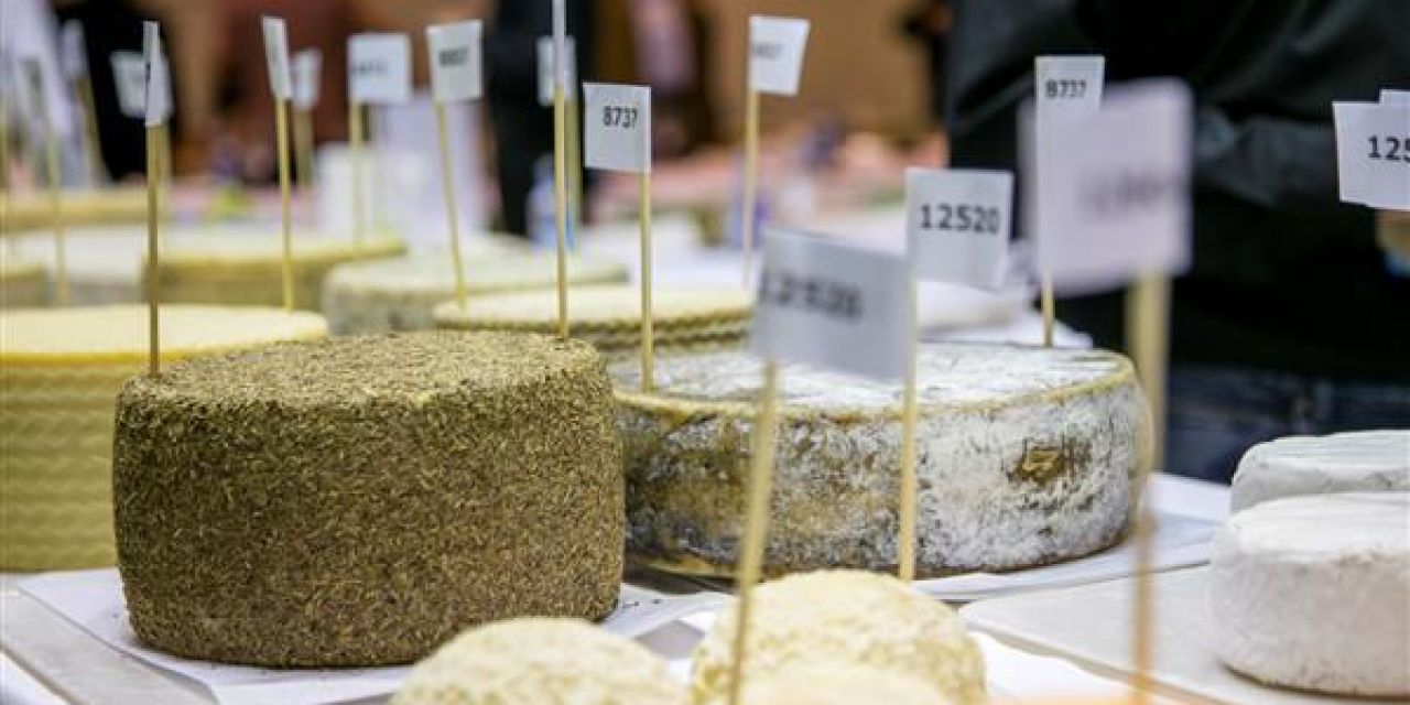  Los mejores quesos de España se reúnen para competir y para conquistar todos los paladares