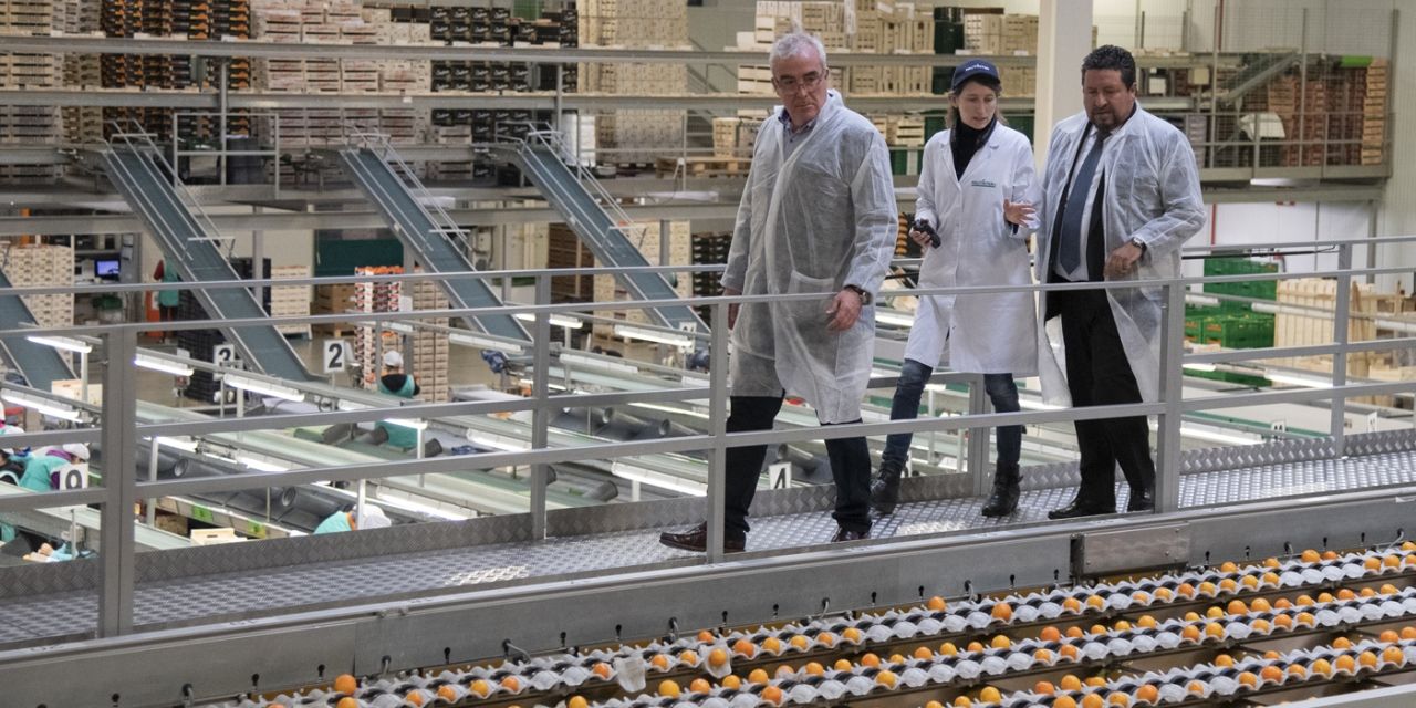  Impulso al consumo de productos agroalimentarios en Castellón