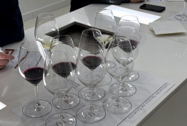 Ribera del Duero reúne a destacados profesionales del mundo del vino para evaluar su Añada 2025