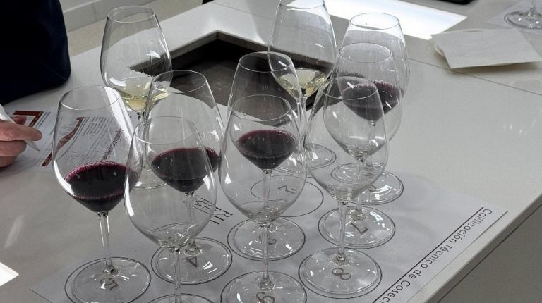 Ribera del Duero reúne a destacados profesionales del mundo del vino para evaluar su Añada 2025