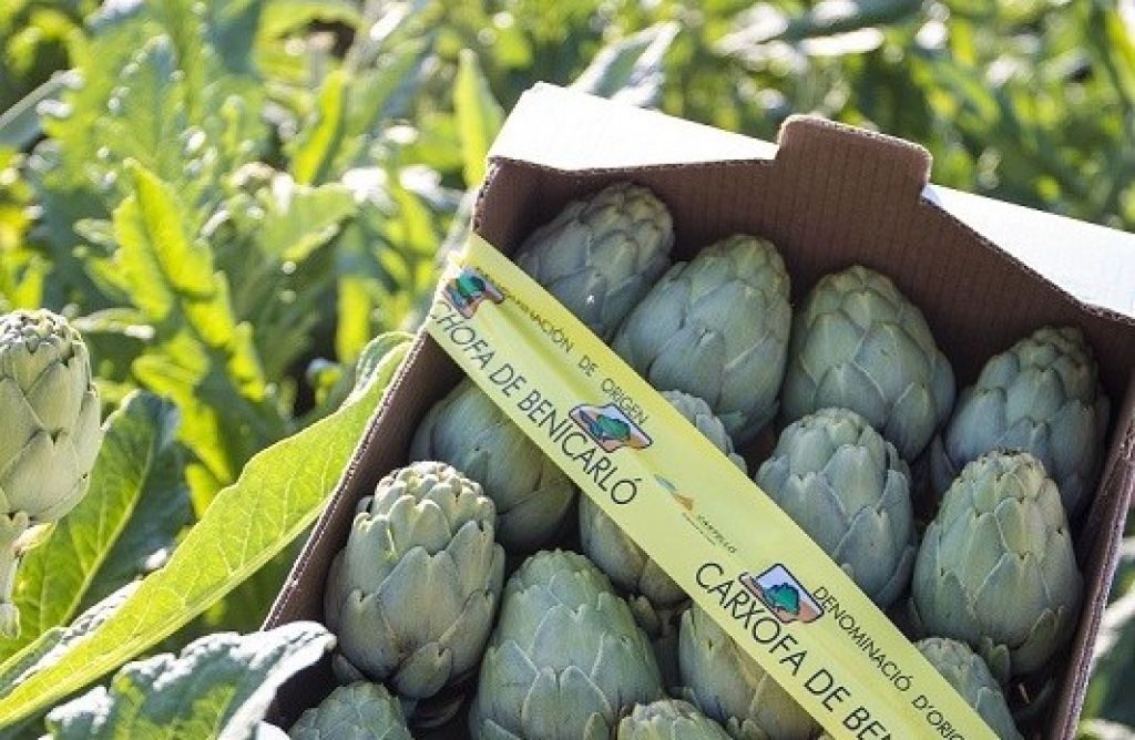  La tradicional Fiesta de la Alcachofa de Benicarlo estrena un Tour para disfrutar aún más de esta rica hortaliza
