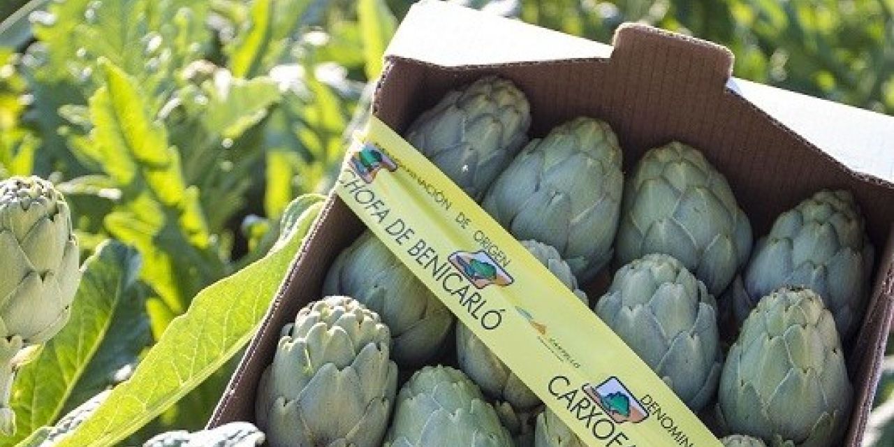  La tradicional Fiesta de la Alcachofa de Benicarlo estrena un Tour para disfrutar aún más de esta rica hortaliza