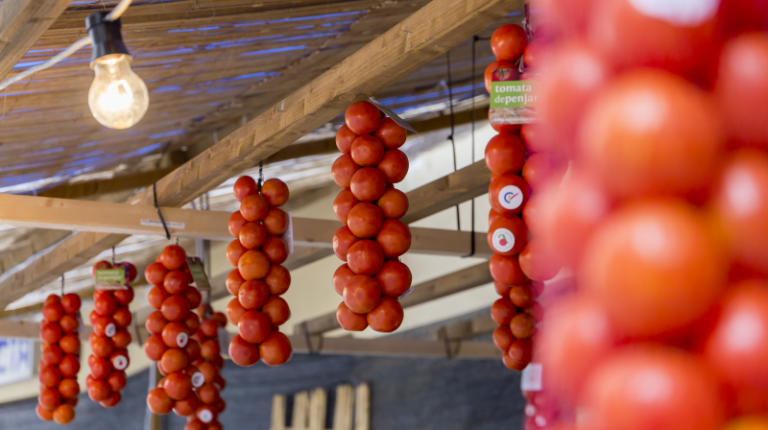 La Feria de la Tomata de Penjar nos muestra lo mejor de este producto y las formas de sacarle provecho