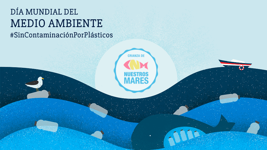  La producción de lubina, dorada y corvina contribuye a la conservación del entorno marino y garantiza alimentos libres de plásticos