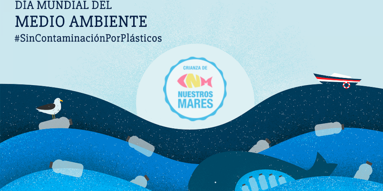  La producción de lubina, dorada y corvina contribuye a la conservación del entorno marino y garantiza alimentos libres de plásticos