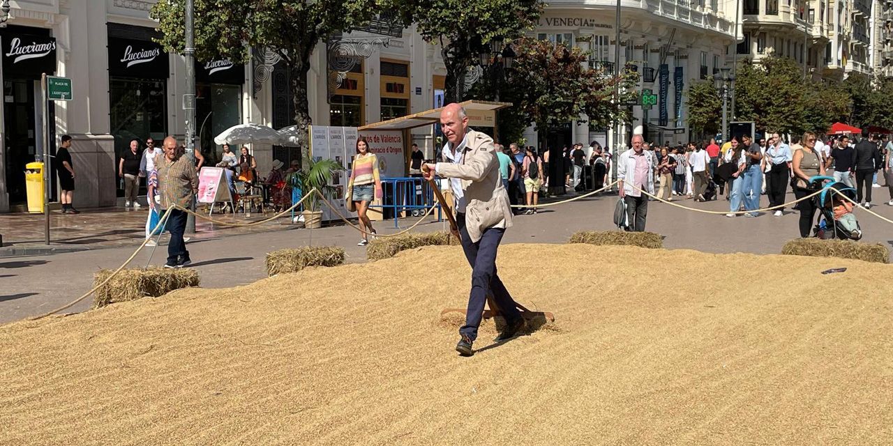  La Concejalía de Agricultura y la D.O. Arròs de València celebran la X edición del TastArròs
