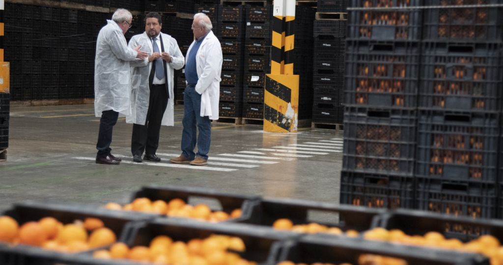  Refuerzo para el sector de los cítricos de Castellón