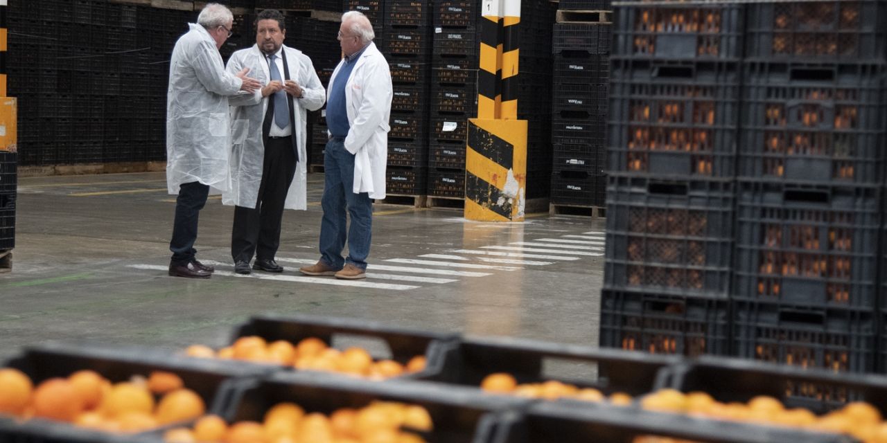  Refuerzo para el sector de los cítricos de Castellón