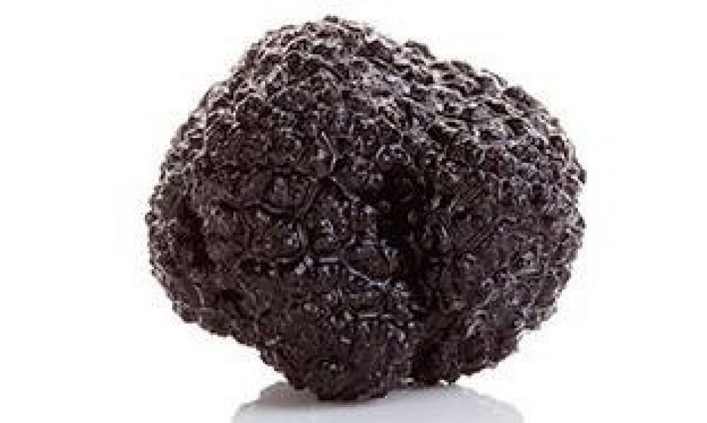  I Concurso Gastronómico Valenciano de la Trufa de Andilla y  I Feria de la Trufa Valenciana de Andilla