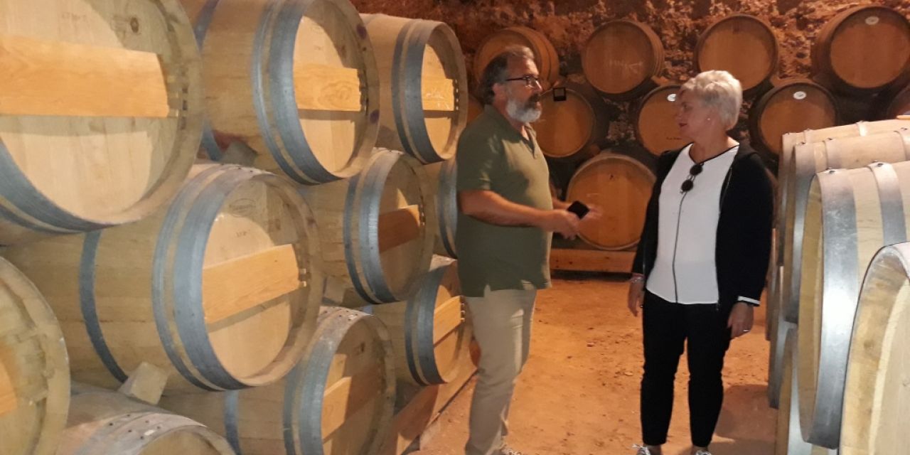 Moixenet reivindica su viña autóctona para destacar la calidad de los productos vitivinícolas y de su turismo asociado