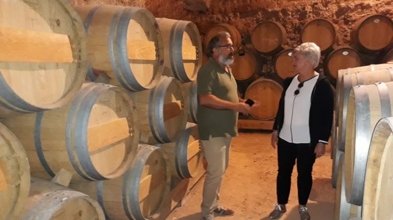 Moixenet reivindica su viña autóctona para destacar la calidad de los productos vitivinícolas y de su turismo asociado